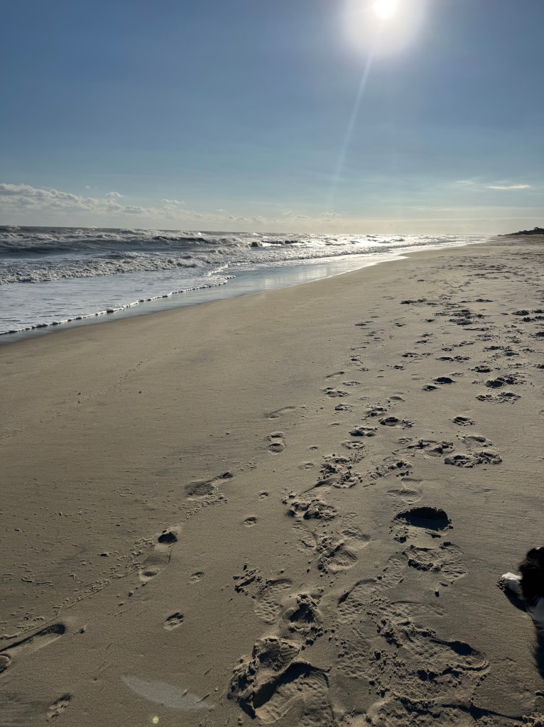 Outer Banks North Carolina Beach looking south toward pier, sun shining on ocean 